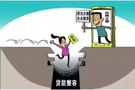 大宁大宁的要账公司在催收过程中的策略和技巧有哪些？