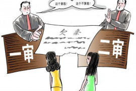 大宁专业讨债公司有哪些核心服务？